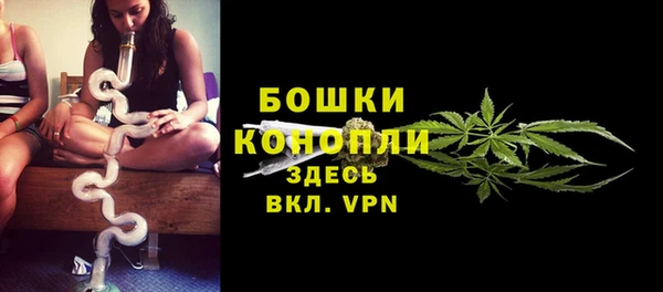 тгк Новозыбков